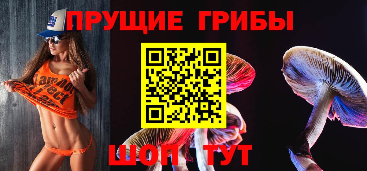 Реутов  даркнет сайт  Вход с VPN  Галлюциногенные грибы MAGIC MUSHROOMS 